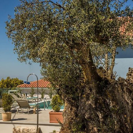 Summertime Villas Argostoli  Eksteriør billede