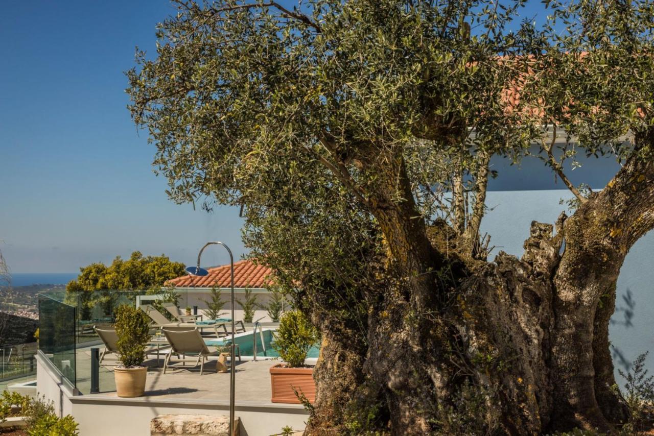 Summertime Villas Argostoli  Eksteriør billede